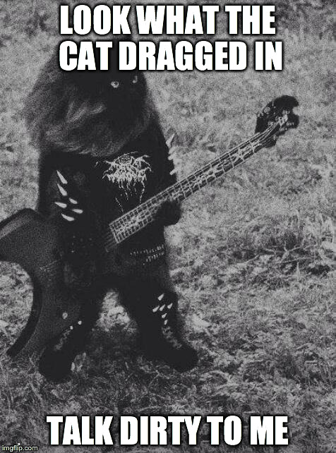 Black Metal Cat | LOOK WHAT THE CAT DRAGGED IN TALK DIRTY TO ME | image tagged in black metal cat | made w/ Imgflip meme maker