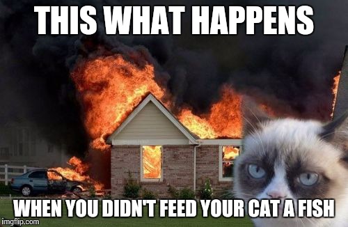 Burn Kitty | THIS WHAT HAPPENS WHEN YOU DIDN'T FEED YOUR CAT A FISH | image tagged in memes,burn kitty | made w/ Imgflip meme maker