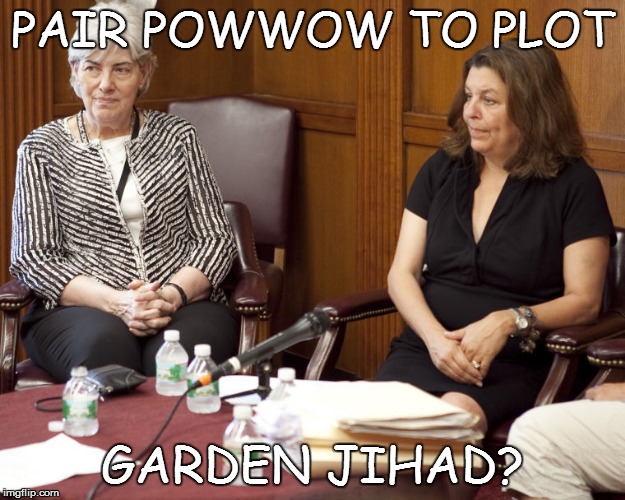 THE DESTRUCTION DIVAS! | PAIR POWWOW TO PLOT GARDEN JIHAD? | image tagged in mayor,superintendent,garden | made w/ Imgflip meme maker