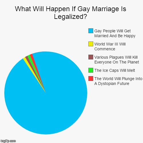 What Will Happen If Gay Marriage Is Legalized? | image tagged in memes,pie charts,gay marriage,happy,legalization | made w/ Imgflip chart maker