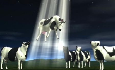 Cows flying  Blank Meme Template