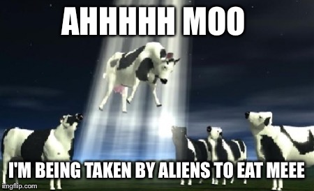 Cows flying  | AHHHHH MOO I'M BEING TAKEN BY ALIENS TO EAT MEEE | image tagged in cows flying | made w/ Imgflip meme maker