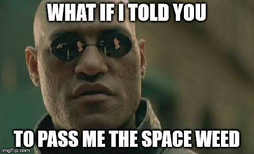 Matrix Morpheus Meme | WHAT IF I TOLD YOU TO PASS ME THE SPACE WEED | image tagged in memes,matrix morpheus | made w/ Imgflip meme maker