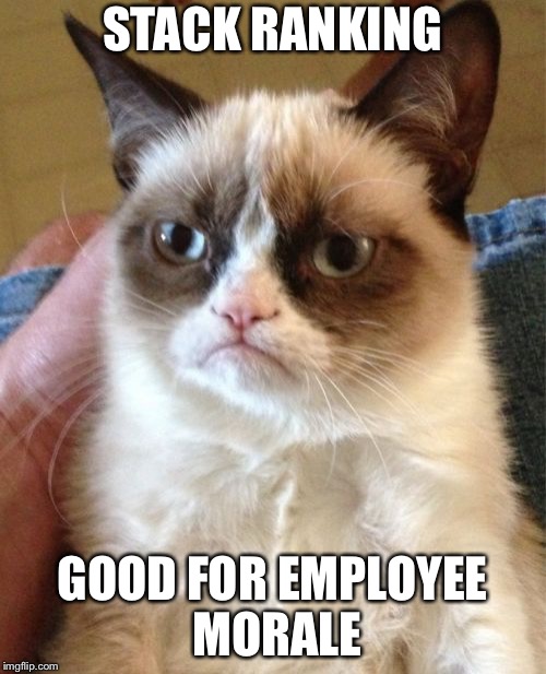 Grumpy Cat Meme | STACK RANKING GOOD FOR EMPLOYEE MORALE | image tagged in memes,grumpy cat | made w/ Imgflip meme maker