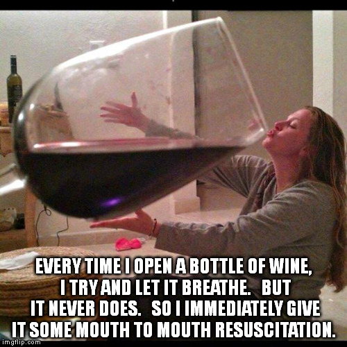 Wine Drinker | EVERY TIME I OPEN A BOTTLE OF WINE, I TRY AND LET IT BREATHE. 

BUT IT NEVER DOES. 

SO I IMMEDIATELY GIVE IT SOME MOUTH TO MOUTH RESUSCITAT | image tagged in wine drinker,memes | made w/ Imgflip meme maker