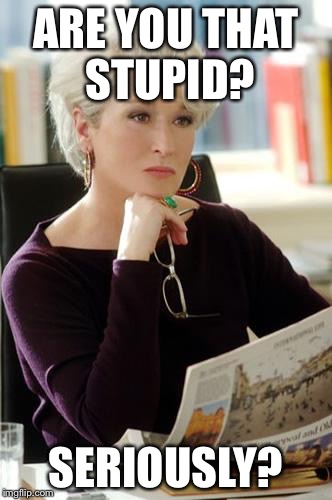 Devil Wears Prada | ARE YOU THAT STUPID? SERIOUSLY? | image tagged in devil wears prada | made w/ Imgflip meme maker