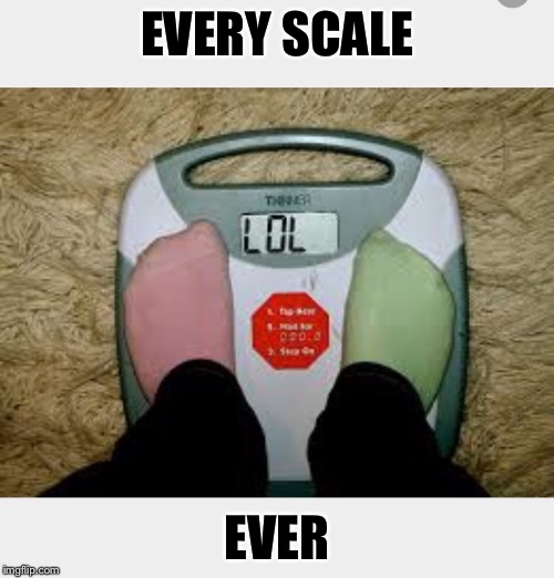 EVERY SCALE EVER | made w/ Imgflip meme maker