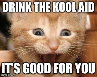 Excited Cat | DRINK THE KOOL AID IT'S GOOD FOR YOU | image tagged in memes,excited cat | made w/ Imgflip meme maker