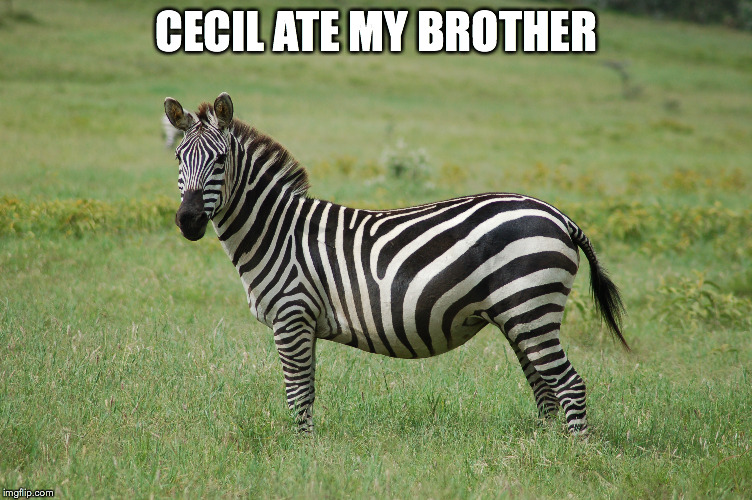 Cecil the Lion | CECIL ATE MY BROTHER | image tagged in cecil the lion,cecil,lion,lions,cecil ate my brother | made w/ Imgflip meme maker