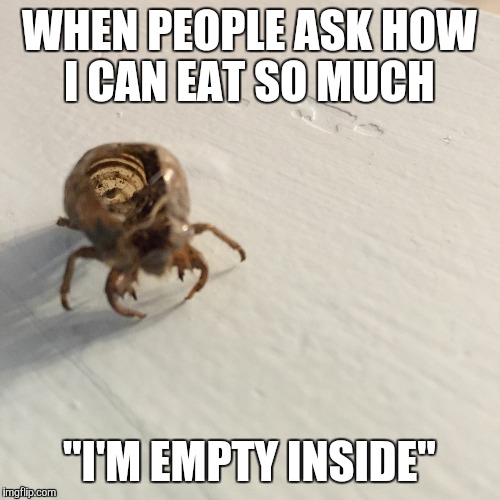 WHEN PEOPLE ASK HOW I CAN EAT SO MUCH "I'M EMPTY INSIDE" | image tagged in empty inside bug | made w/ Imgflip meme maker