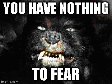 YOU HAVE NOTHING TO FEAR | image tagged in nostalgia | made w/ Imgflip meme maker