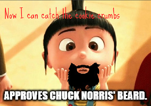 APPROVES CHUCK NORRIS' BEARD. | made w/ Imgflip meme maker