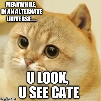 MEANWHILE, IN AN ALTERNATE UNIVERSE..... U LOOK, U SEE CATE | made w/ Imgflip meme maker