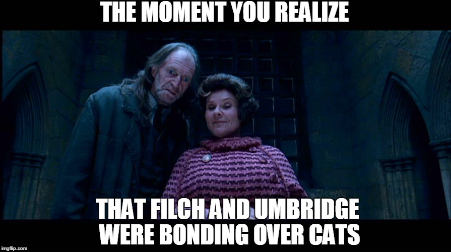The moment you realized | THE MOMENT YOU REALIZE THAT FILCH AND UMBRIDGE WERE BONDING OVER CATS | image tagged in harry potter,filch,umbridge,cats,bonding | made w/ Imgflip meme maker