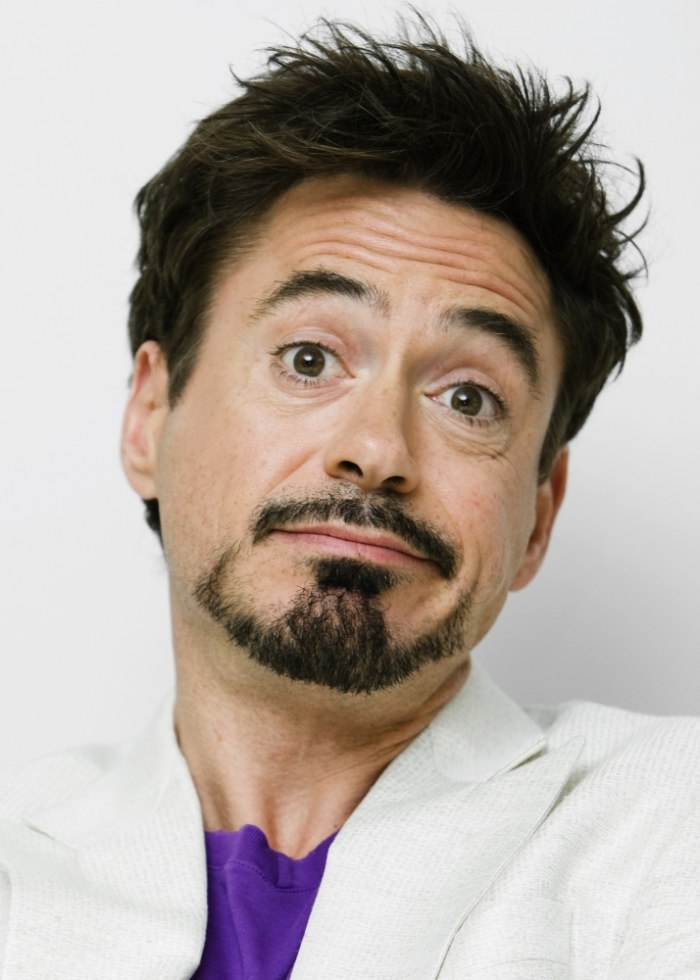 Robert Downey Jr Blank Meme Template