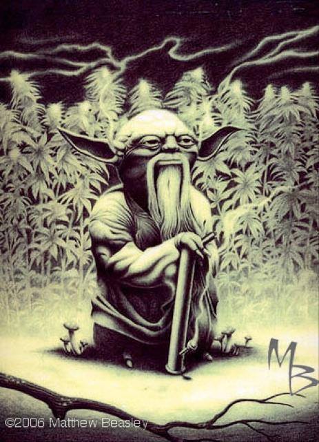 Weed Yoda Blank Meme Template