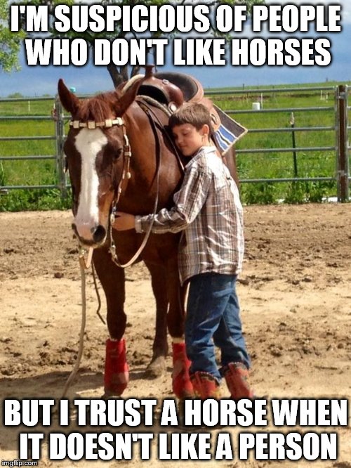 I'M SUSPICIOUS OF PEOPLE WHO DON'T LIKE HORSES BUT I TRUST A HORSE WHEN IT DOESN'T LIKE A PERSON | image tagged in horse,trust | made w/ Imgflip meme maker