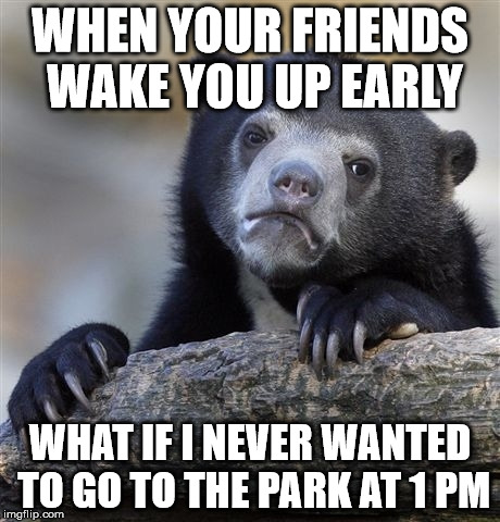 Confession Bear Meme | WHEN YOUR FRIENDS WAKE YOU UP EARLY WHAT IF I NEVER WANTED TO GO TO THE PARK AT 1 PM | image tagged in memes,confession bear | made w/ Imgflip meme maker