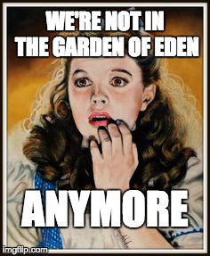 WE'RE NOT IN THE GARDEN OF EDEN ANYMORE | image tagged in not in kansas | made w/ Imgflip meme maker