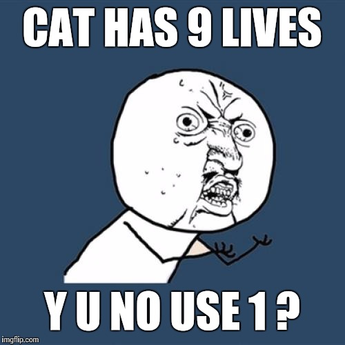 Y U No Meme | CAT HAS 9 LIVES Y U NO USE 1 ? | image tagged in memes,y u no | made w/ Imgflip meme maker