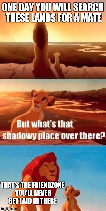 Simba Shadowy Place | ONE DAY YOU WILL SEARCH THESE LANDS FOR A MATE THAT'S THE FRIENDZONE YOU'LL NEVER GET LAID IN THERE | image tagged in memes,simba shadowy place | made w/ Imgflip meme maker