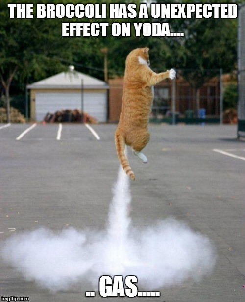 Rocket cat | THE BROCCOLI HAS A UNEXPECTED EFFECT ON YODA.... .. GAS..... | image tagged in rocket cat | made w/ Imgflip meme maker