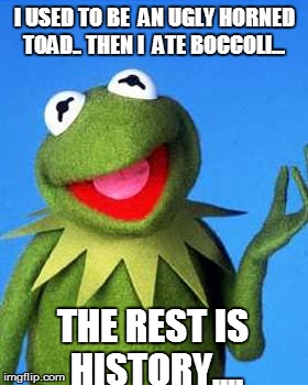Kermit the Frog Meme | I USED TO BE  AN UGLY HORNED TOAD.. THEN I  ATE BOCCOLI... THE REST IS HISTORY.... | image tagged in kermit the frog meme | made w/ Imgflip meme maker