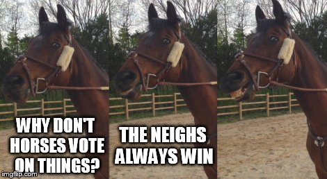 The vote | WHY DON'T HORSES VOTE ON THINGS? THE NEIGHS ALWAYS WIN | image tagged in pun horse,horses,vote | made w/ Imgflip meme maker