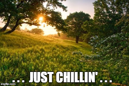 Just chillin' | . . .  JUST CHILLIN' . . . | image tagged in just chillin',chillin' | made w/ Imgflip meme maker