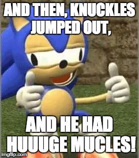 The Creation of Sonic Boom | AND THEN, KNUCKLES JUMPED OUT, AND HE HAD HUUUGE MUCLES! | image tagged in drunk sonic | made w/ Imgflip meme maker