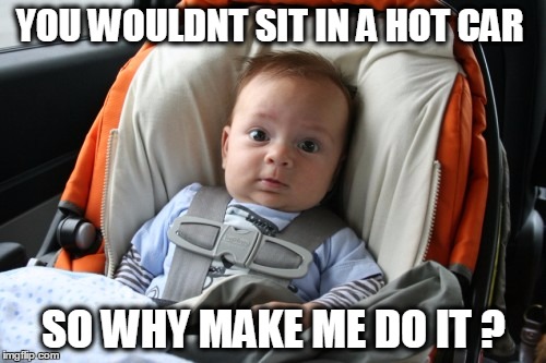 STOP LEAVING CHILDREN IN HOT CARS!!!!!!! | YOU WOULDNT SIT IN A HOT CAR SO WHY MAKE ME DO IT ? | image tagged in heatstroke,hot car,baby,child,death,parent | made w/ Imgflip meme maker