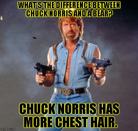 Chuck Norris Guns | WHAT'S THE DIFFERENCE BETWEEN CHUCK NORRIS AND A BEAR? CHUCK NORRIS HAS MORE CHEST HAIR. | image tagged in chuck norris | made w/ Imgflip meme maker