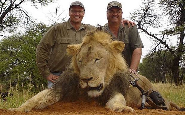 High Quality Walter Palmer  Blank Meme Template