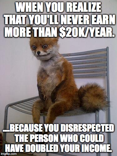 broke fox | WHEN YOU REALIZE THAT YOU'LL NEVER EARN MORE THAN $20K/YEAR. ....BECAUSE YOU DISRESPECTED THE PERSON WHO COULD HAVE DOUBLED YOUR INCOME. | image tagged in broke fox | made w/ Imgflip meme maker
