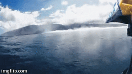 Wow | image tagged in gifs,surf | made w/ Imgflip video-to-gif maker