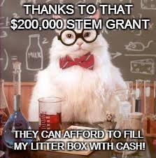 CURRICULUM KITTY | THANKS TO THAT $200,000 STEM GRANT THEY CAN AFFORD TO FILL MY LITTER BOX WITH CASH! | image tagged in science cat,grants,salary,costs | made w/ Imgflip meme maker