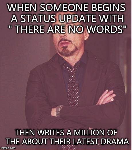 Face You Make Robert Downey Jr Meme | WHEN SOMEONE BEGINS A STATUS UPDATE WITH " THERE ARE NO WORDS" THEN WRITES A MILLION OF THE ABOUT THEIR LATEST DRAMA | image tagged in memes,face you make robert downey jr | made w/ Imgflip meme maker