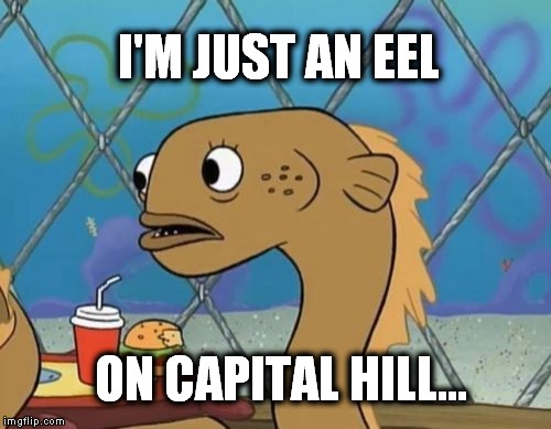 Sadly I Am Only An Eel Meme | I'M JUST AN EEL ON CAPITAL HILL... | image tagged in memes,sadly i am only an eel,schoolhouse rock,eelhouse rock | made w/ Imgflip meme maker