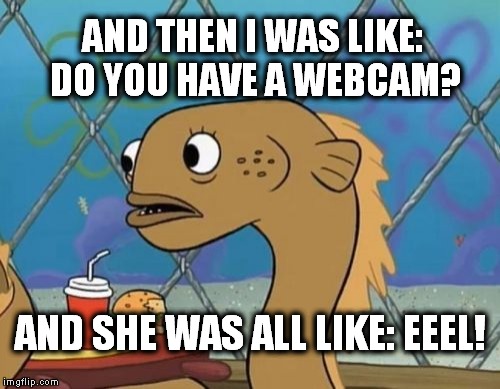 Sadly I Am Only An Eel | AND THEN I WAS LIKE: DO YOU HAVE A WEBCAM? AND SHE WAS ALL LIKE: EEEL! | image tagged in memes,sadly i am only an eel | made w/ Imgflip meme maker