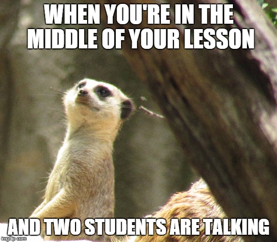 WHEN YOU'RE IN THE MIDDLE OF YOUR LESSON AND TWO STUDENTS ARE TALKING | image tagged in animal | made w/ Imgflip meme maker