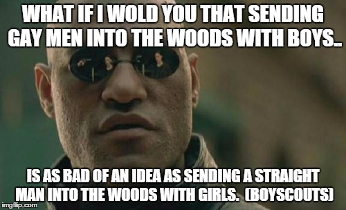 Matrix Morpheus | WHAT IF I WOLD YOU THAT SENDING GAY MEN INTO THE WOODS WITH BOYS.. IS AS BAD OF AN IDEA AS SENDING A STRAIGHT MAN INTO THE WOODS WITH GIRLS. | image tagged in memes,matrix morpheus | made w/ Imgflip meme maker