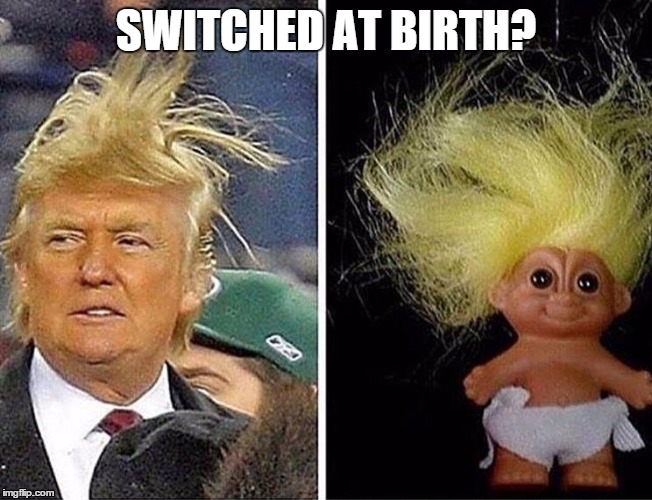 Brothers from a different mother? | SWITCHED AT BIRTH? | image tagged in donald trump | made w/ Imgflip meme maker
