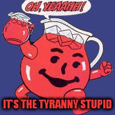 IT'S THE TYRANNY STUPID | made w/ Imgflip meme maker