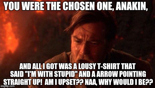 You Were The Chosen One (Star Wars) | YOU WERE THE CHOSEN ONE, ANAKIN, AND ALL I GOT WAS A LOUSY T-SHIRT THAT SAID "I'M WITH STUPID" AND A ARROW POINTING STRAIGHT UP!  AM I UPSET | image tagged in you were the chosen one star wars | made w/ Imgflip meme maker