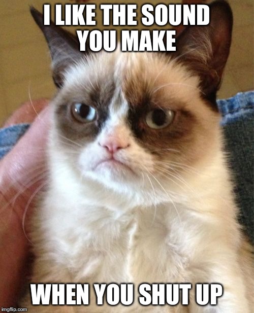 Grumpy Cat Meme | I LIKE THE SOUND YOU MAKE WHEN YOU SHUT UP | image tagged in memes,grumpy cat,scumbag,bad luck brian,first world problems,i should buy a boat cat | made w/ Imgflip meme maker