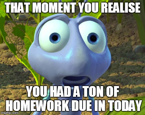 Ummmm... | THAT MOMENT YOU REALISE YOU HAD A TON OF HOMEWORK DUE IN TODAY | image tagged in flik,a bug's life,homework | made w/ Imgflip meme maker