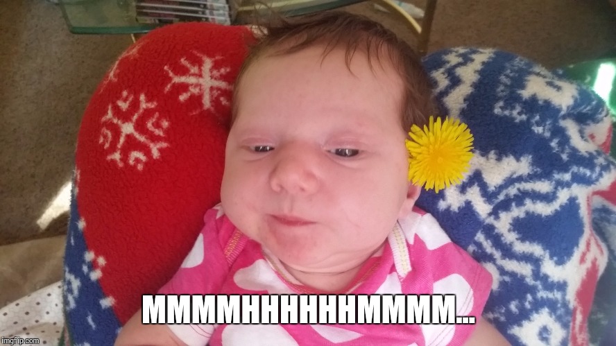 MMMMHHHHHHMMMM... | made w/ Imgflip meme maker