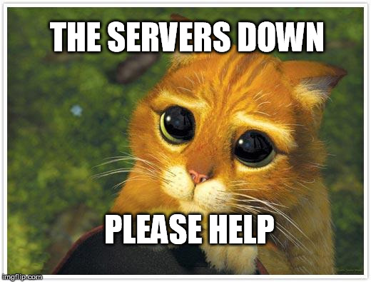 Shrek Cat Meme | THE SERVERS DOWN PLEASE HELP | image tagged in memes,shrek cat | made w/ Imgflip meme maker