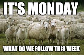 sheeps | IT'S MONDAY WHAT DO WE FOLLOW THIS WEEK | image tagged in sheeps | made w/ Imgflip meme maker