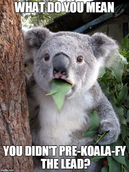 pre-koala-fy the lead meme with surprised koala